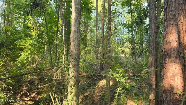 $49,000 | 0 Alabama Street, Roxie, MS 39661