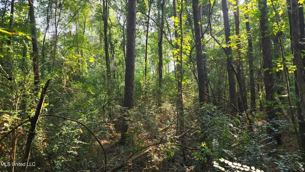 $49,000 | 0 Alabama Street, Roxie, MS 39661