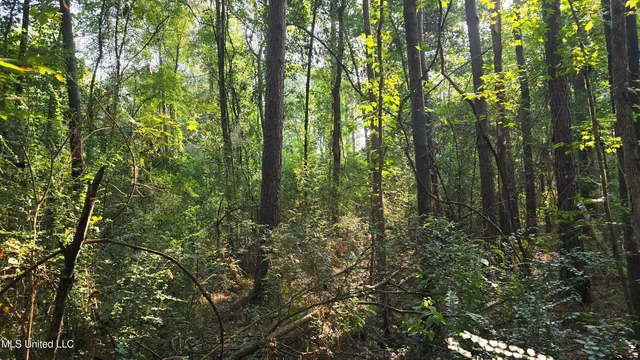 $49,000 | 0 Alabama Street, Roxie, MS 39661