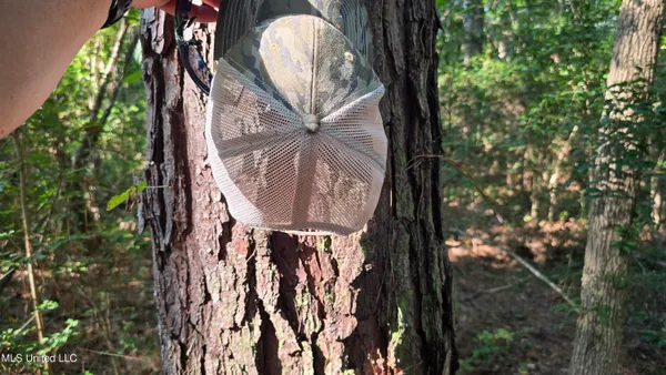 $49,000 | 0 Alabama Street, Roxie, MS 39661