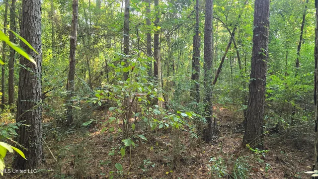 $49,000 | 0 Alabama Street, Roxie, MS 39661