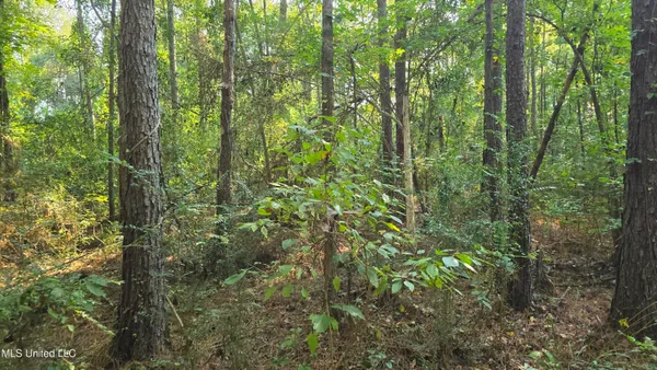 $49,000 | 0 Alabama Street, Roxie, MS 39661