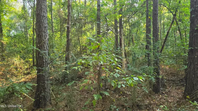 $49,000 | 0 Alabama Street, Roxie, MS 39661