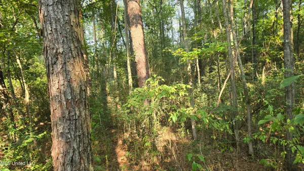 $49,000 | 0 Alabama Street, Roxie, MS 39661