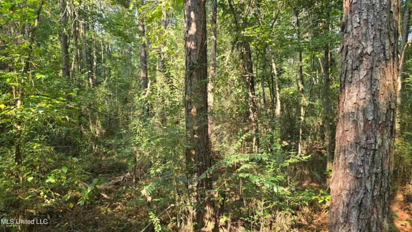 $49,000 | 0 Alabama Street, Roxie, MS 39661