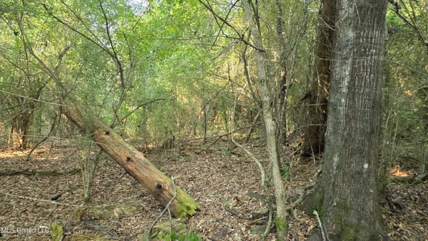 $49,000 | 0 Alabama Street, Roxie, MS 39661