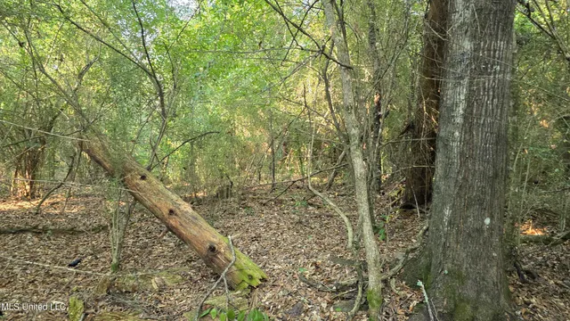 $49,000 | 0 Alabama Street, Roxie, MS 39661