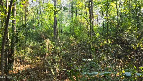 $49,000 | 0 Alabama Street, Roxie, MS 39661