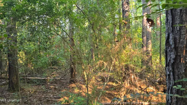 $49,000 | 0 Alabama Street, Roxie, MS 39661