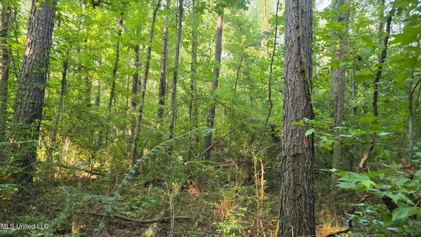 $49,000 | 0 Alabama Street, Roxie, MS 39661