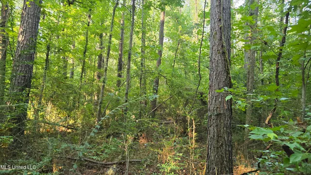 $49,000 | 0 Alabama Street, Roxie, MS 39661