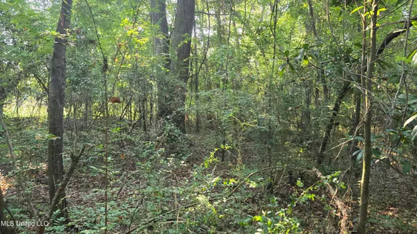 $49,000 | 0 Alabama Street, Roxie, MS 39661