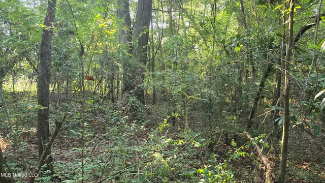 $49,000 | 0 Alabama Street, Roxie, MS 39661