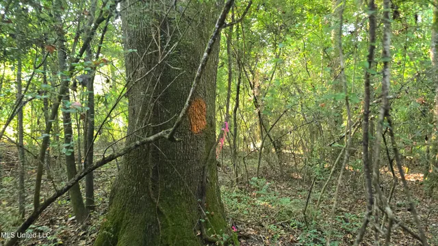 $49,000 | 0 Alabama Street, Roxie, MS 39661