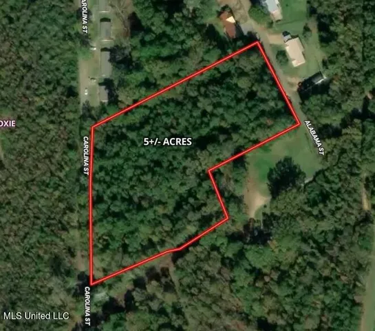 $49,000 | 0 Alabama Street, Roxie, MS 39661