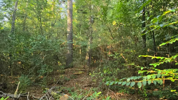 $49,000 | 0 Alabama Street, Roxie, MS 39661