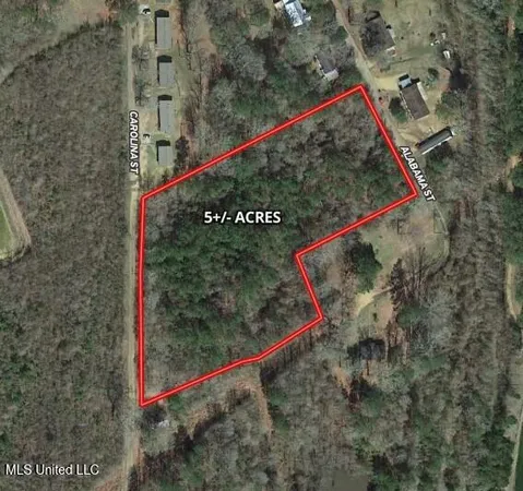 $49,000 | 0 Alabama Street, Roxie, MS 39661