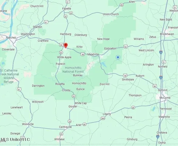 $49,000 | 0 Alabama Street, Roxie, MS 39661