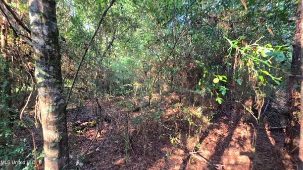 $49,000 | 0 Alabama Street, Roxie, MS 39661