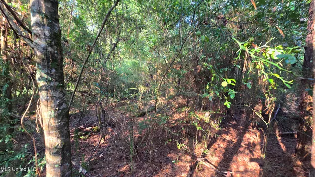 $49,000 | 0 Alabama Street, Roxie, MS 39661