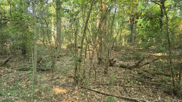 $49,000 | 0 Alabama Street, Roxie, MS 39661