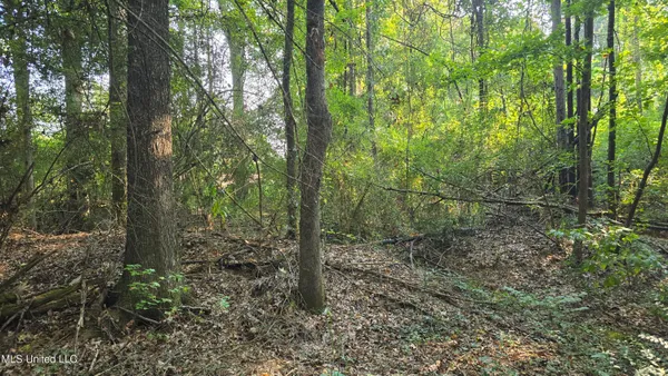 $49,000 | 0 Alabama Street, Roxie, MS 39661