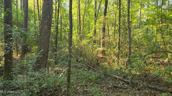 $49,000 | 0 Alabama Street, Roxie, MS 39661