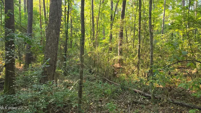 $49,000 | 0 Alabama Street, Roxie, MS 39661