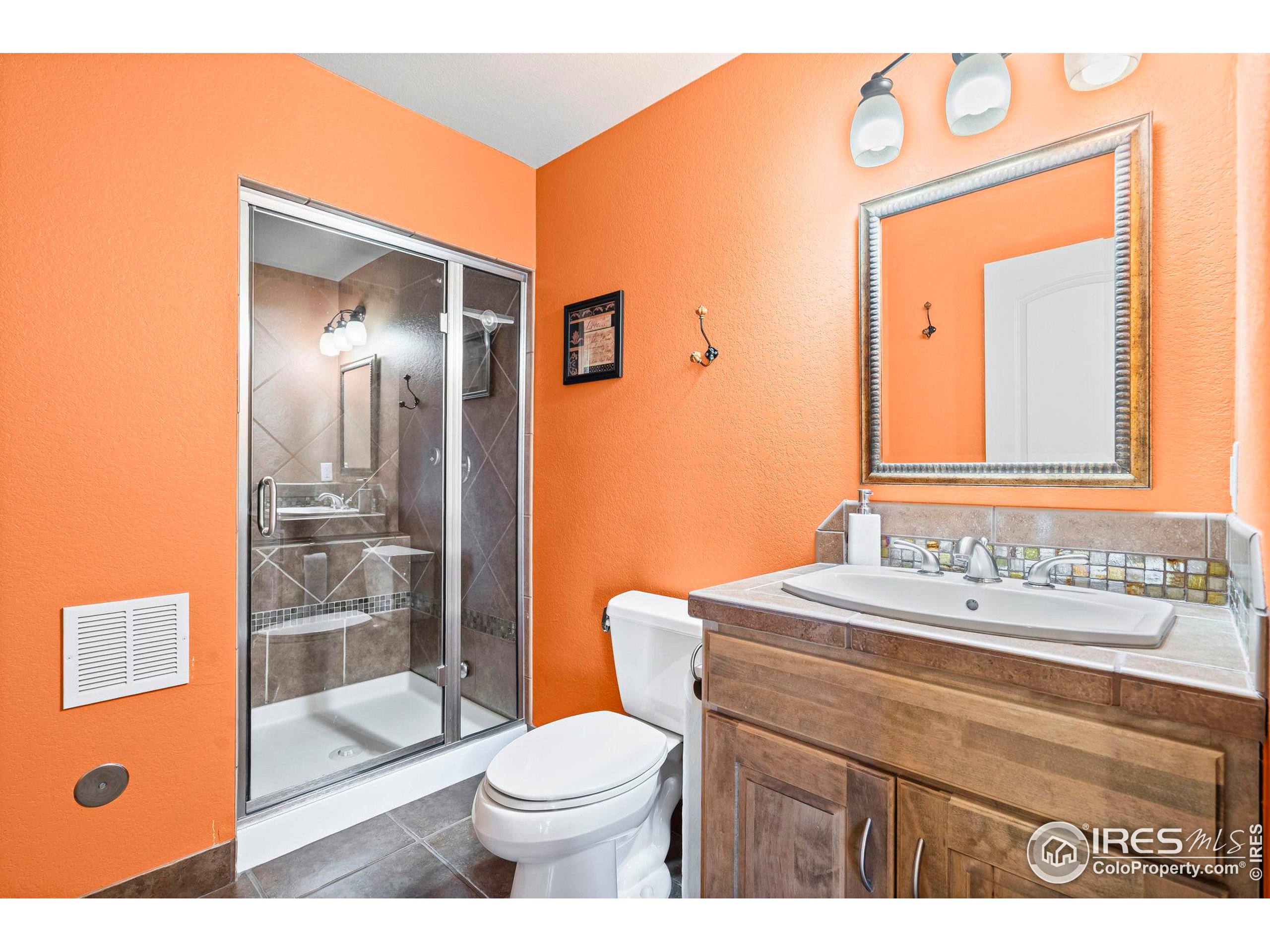 621 Roma Valley Drive Fort Collins, CO 80525 - Photo 44 of 50 a bathroom with a sink a toilet a shower and a mirror