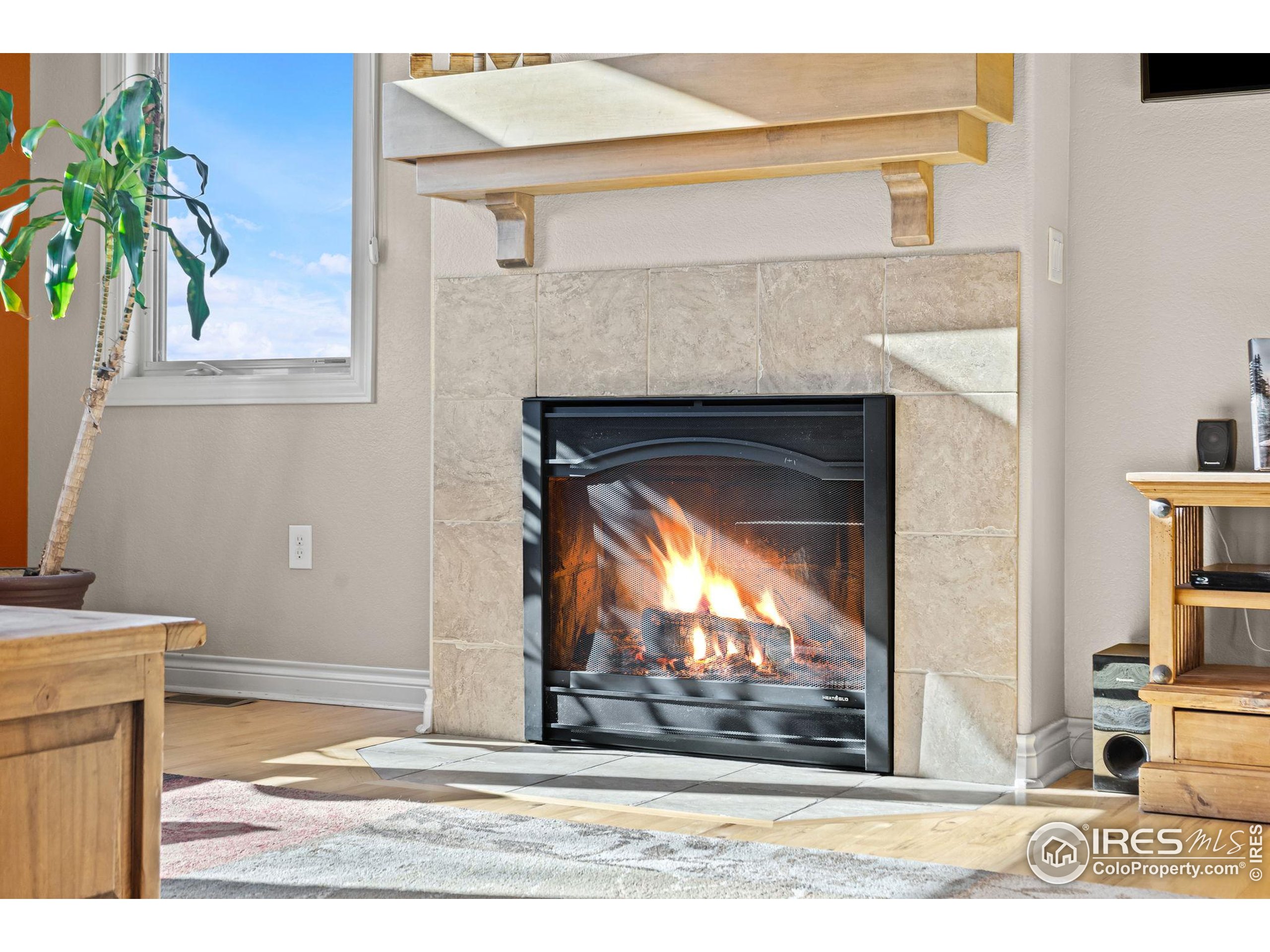 621 Roma Valley Drive Fort Collins, CO 80525 - Photo 9 of 50 a view of a living room that has a fireplace