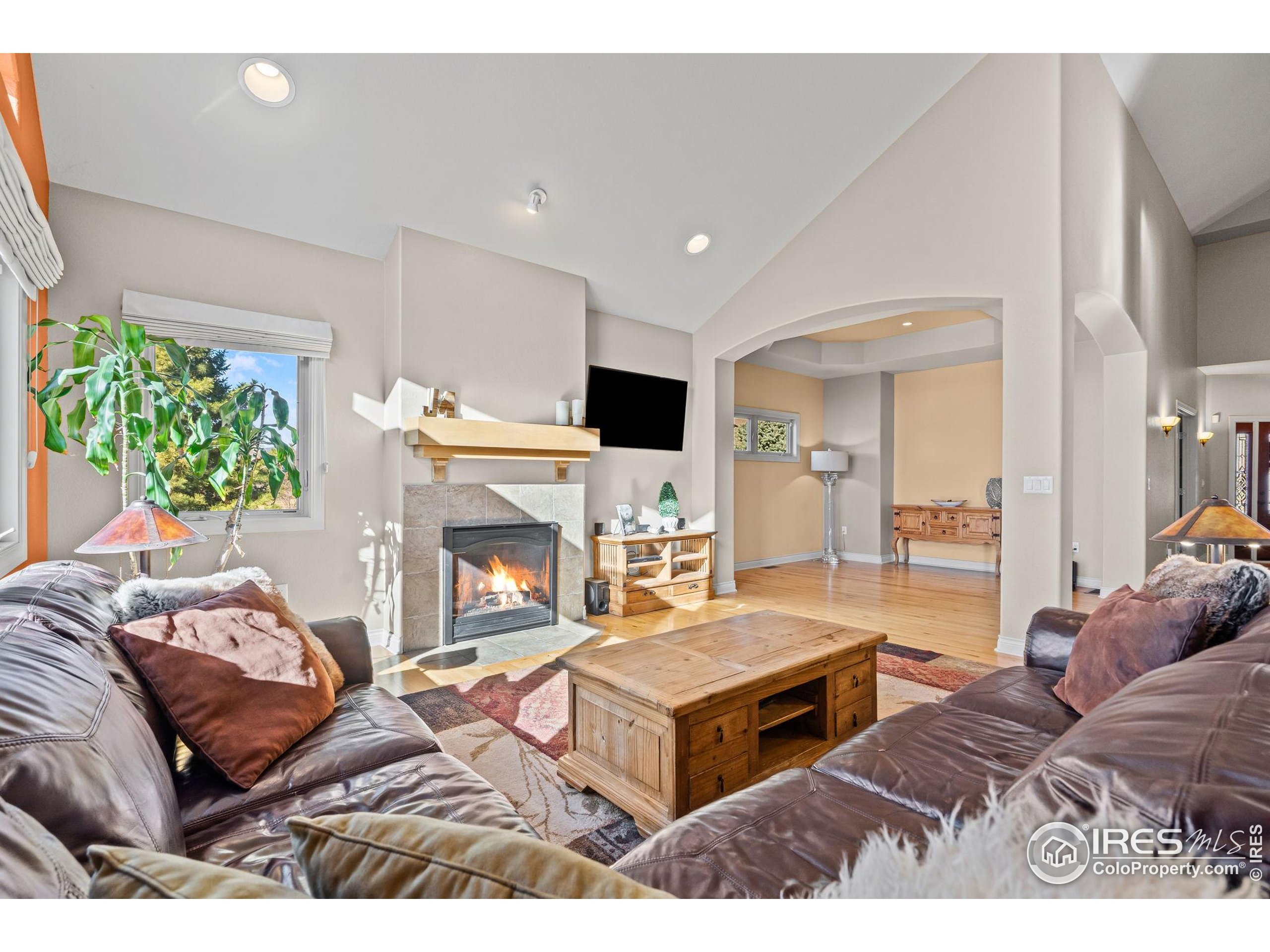 621 Roma Valley Drive Fort Collins, CO 80525 - Photo 10 of 50 a living room with furniture and a fireplace