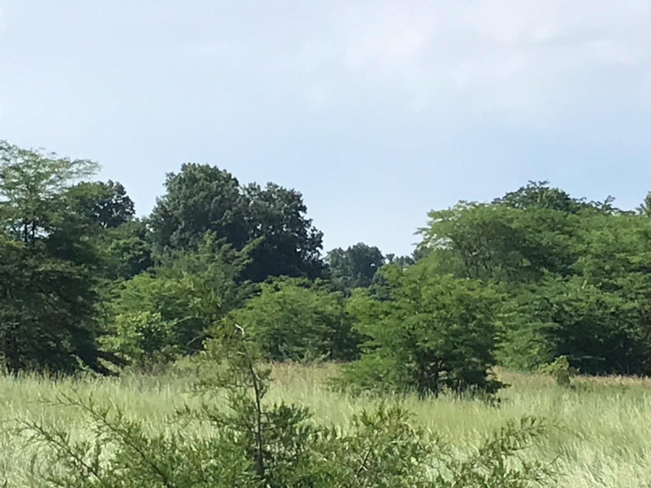 0 Foxville Road Salem, IL 62881 - Photo 1 of 4