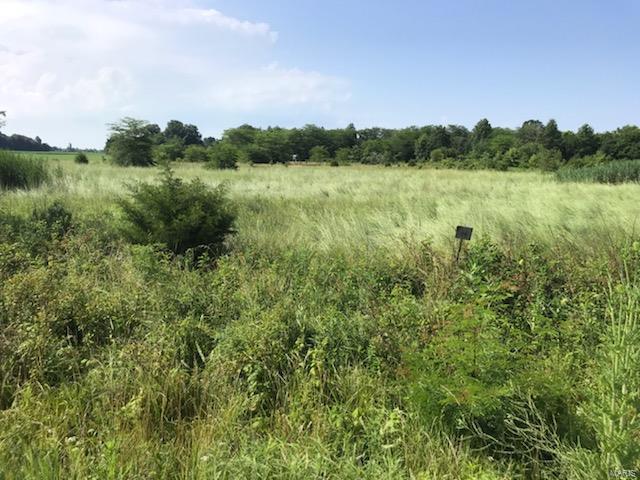 0 Foxville Road Salem, IL 62881 - Photo 2 of 4