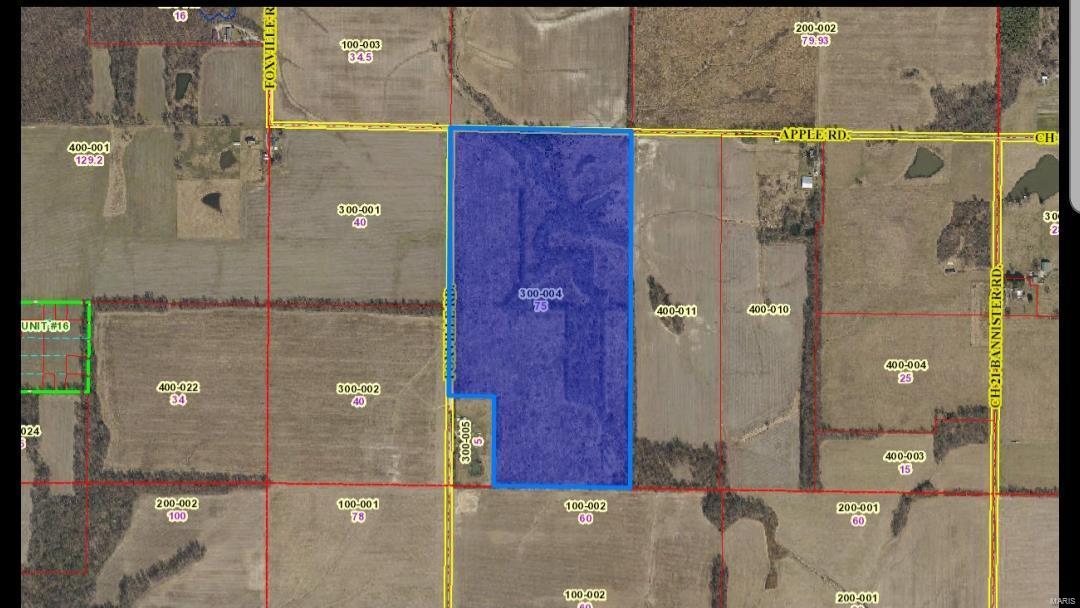 0 Foxville Road Salem, IL 62881 - Photo 4 of 4