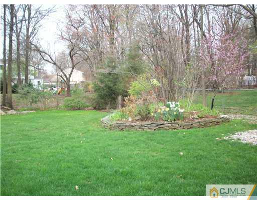 811 New Dover Road Edison, NJ 08820 - Photo 2 of 11 a view of a backyard with large trees