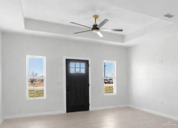 311 Other Road Rio Grande City, TX 78582 - Photo 2 of 16 Foyer entrance featuring a raised ceiling, a ceiling fan, light wood-type flooring, and healthy amount of natural light