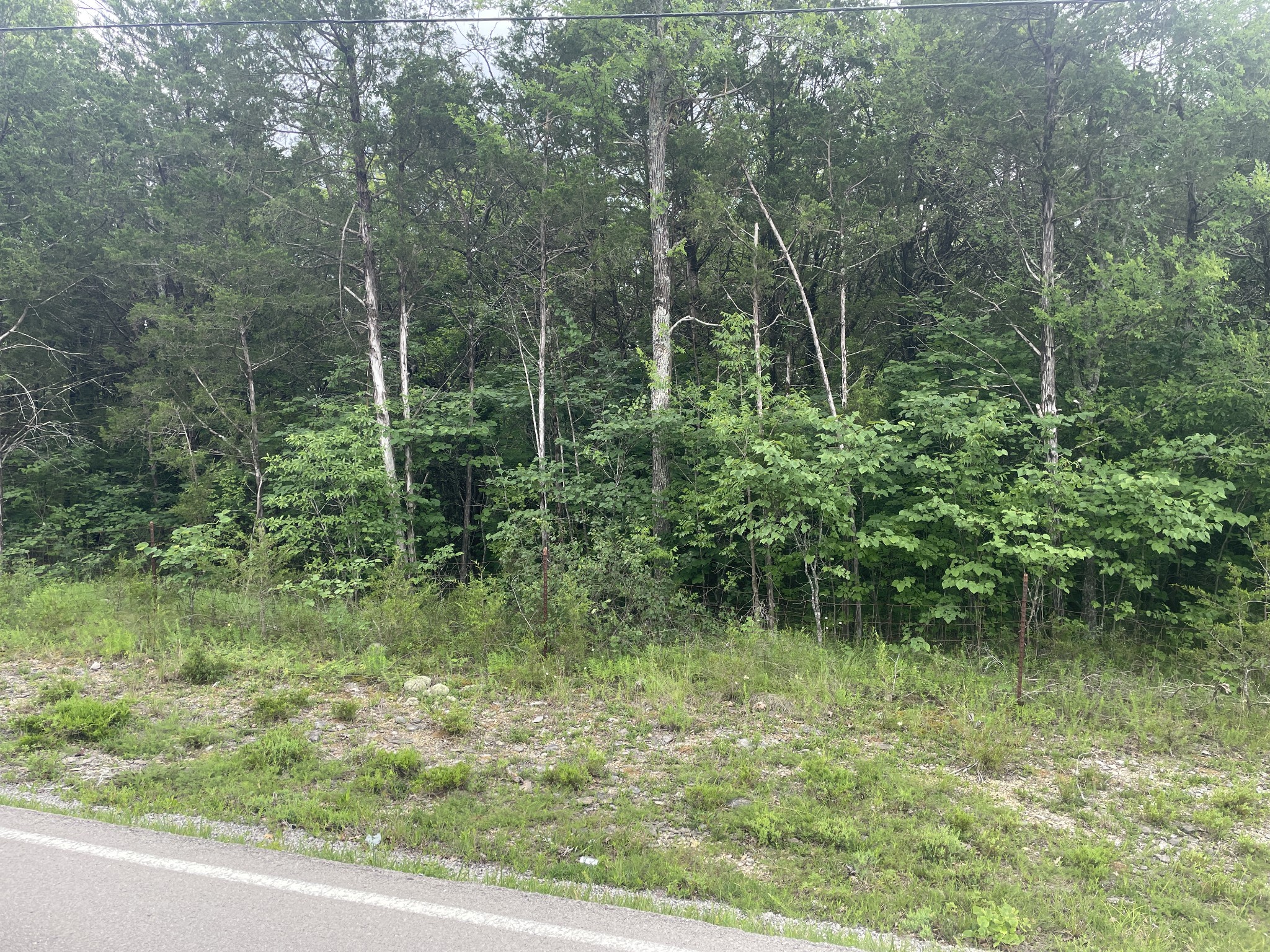 3822 Bivens Hill Road Readyville, TN 37149 - Photo 4 of 7