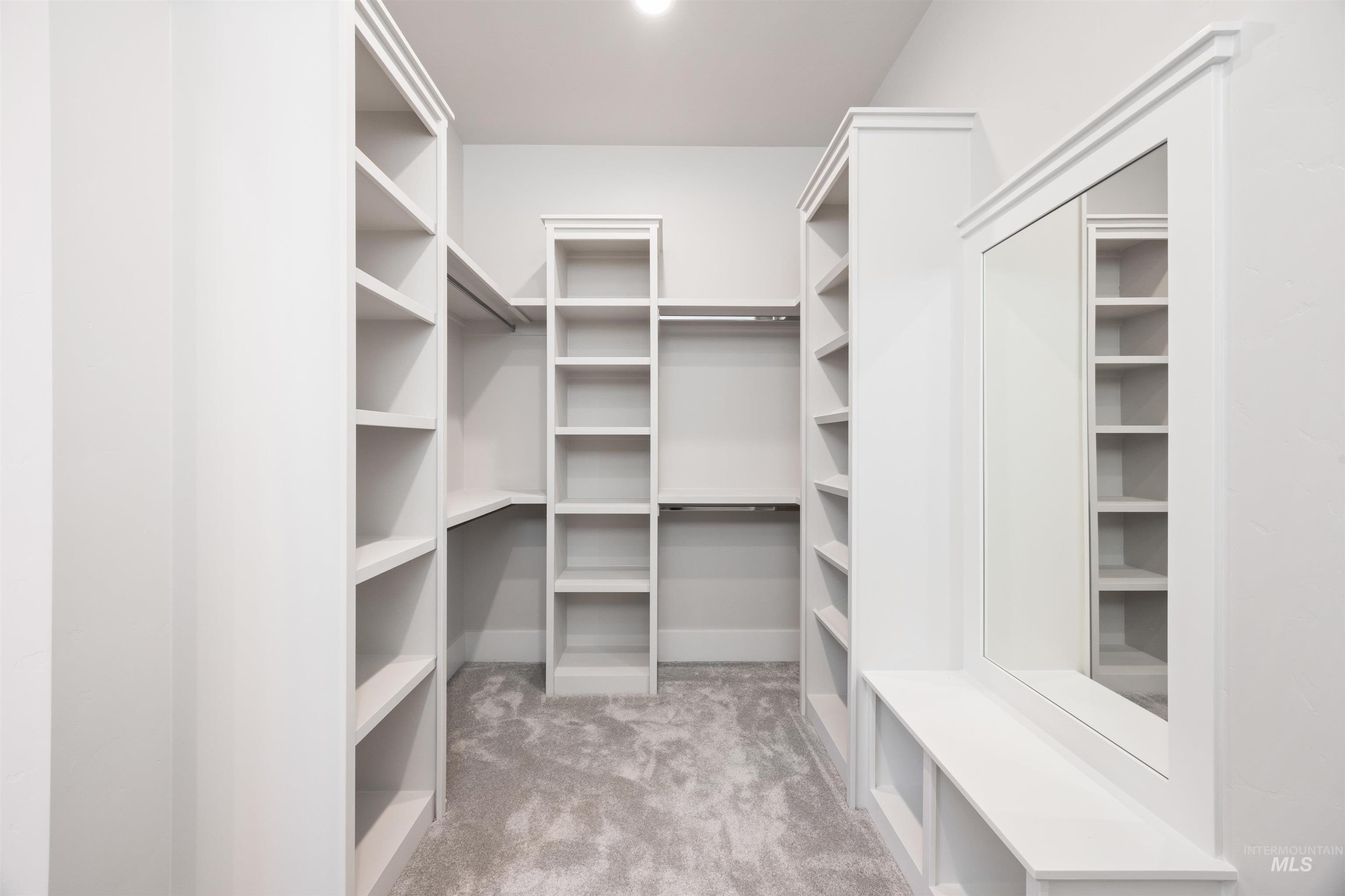1048 East Escalation Street Meridian, ID 83642 - Photo 33 of 44 Walk in closet featuring light colored carpet