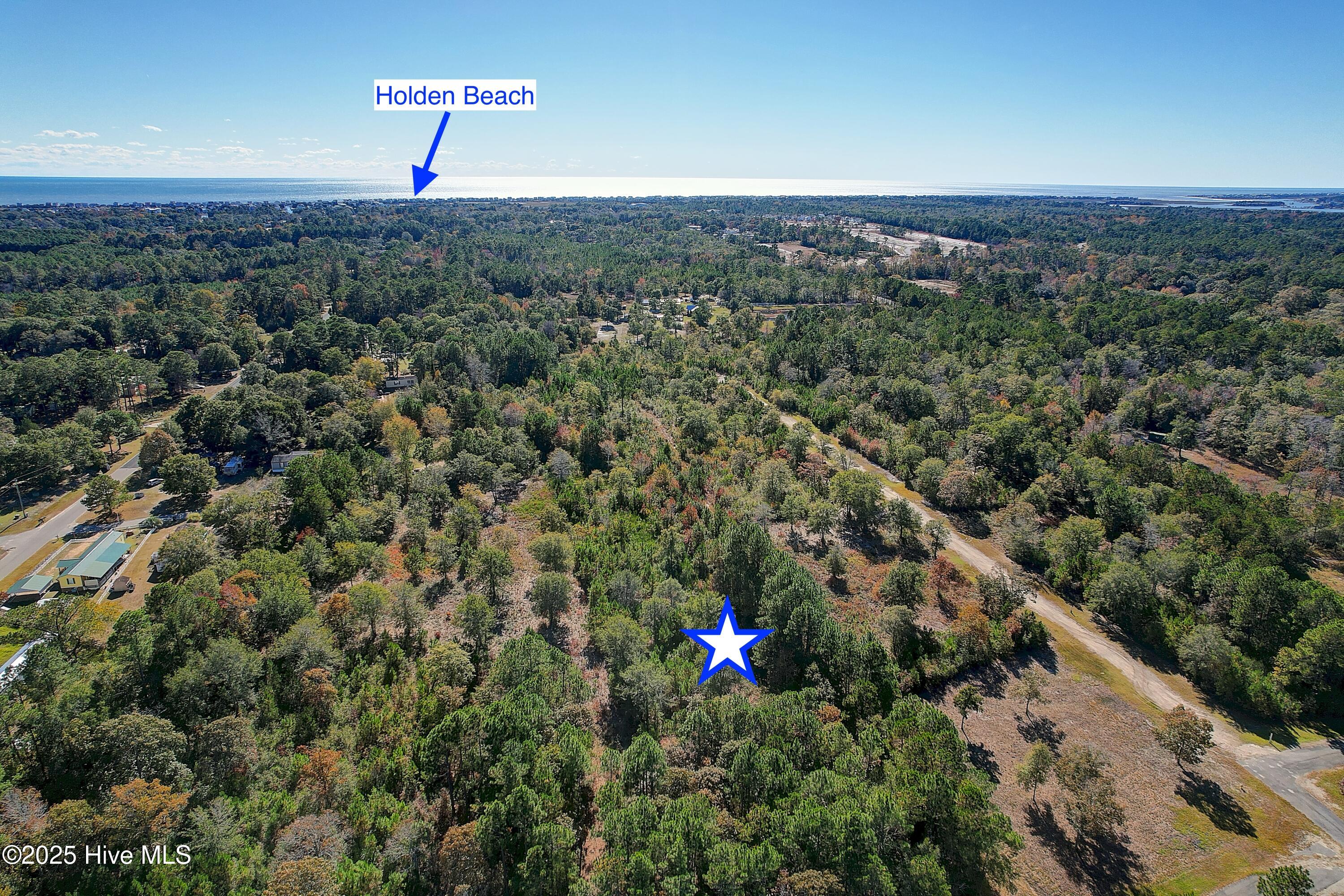 2021 Sea Lavender Road Southwest Supply, NC 28462 - Photo 13 of 19 Community View