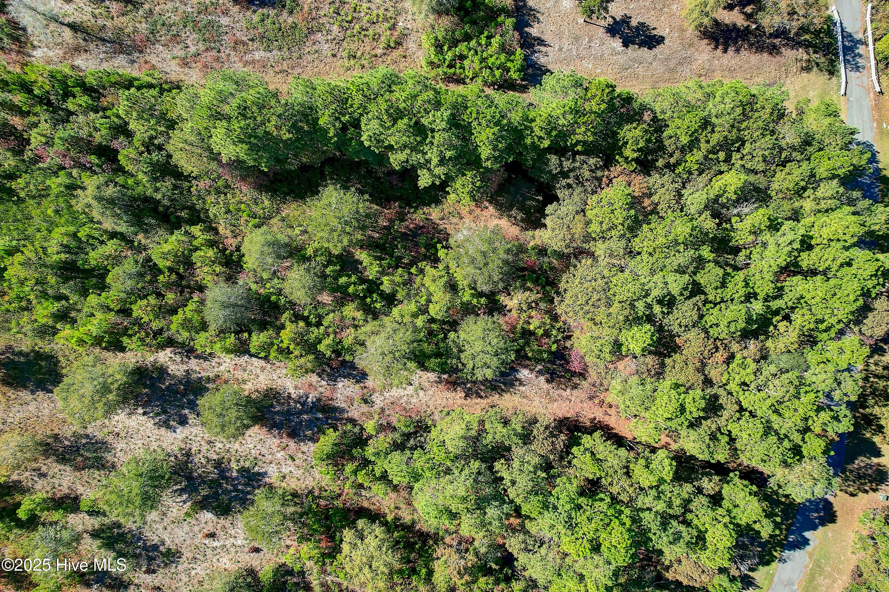 2021 Sea Lavender Road Southwest Supply, NC 28462 - Photo 4 of 19 Arial of Lot