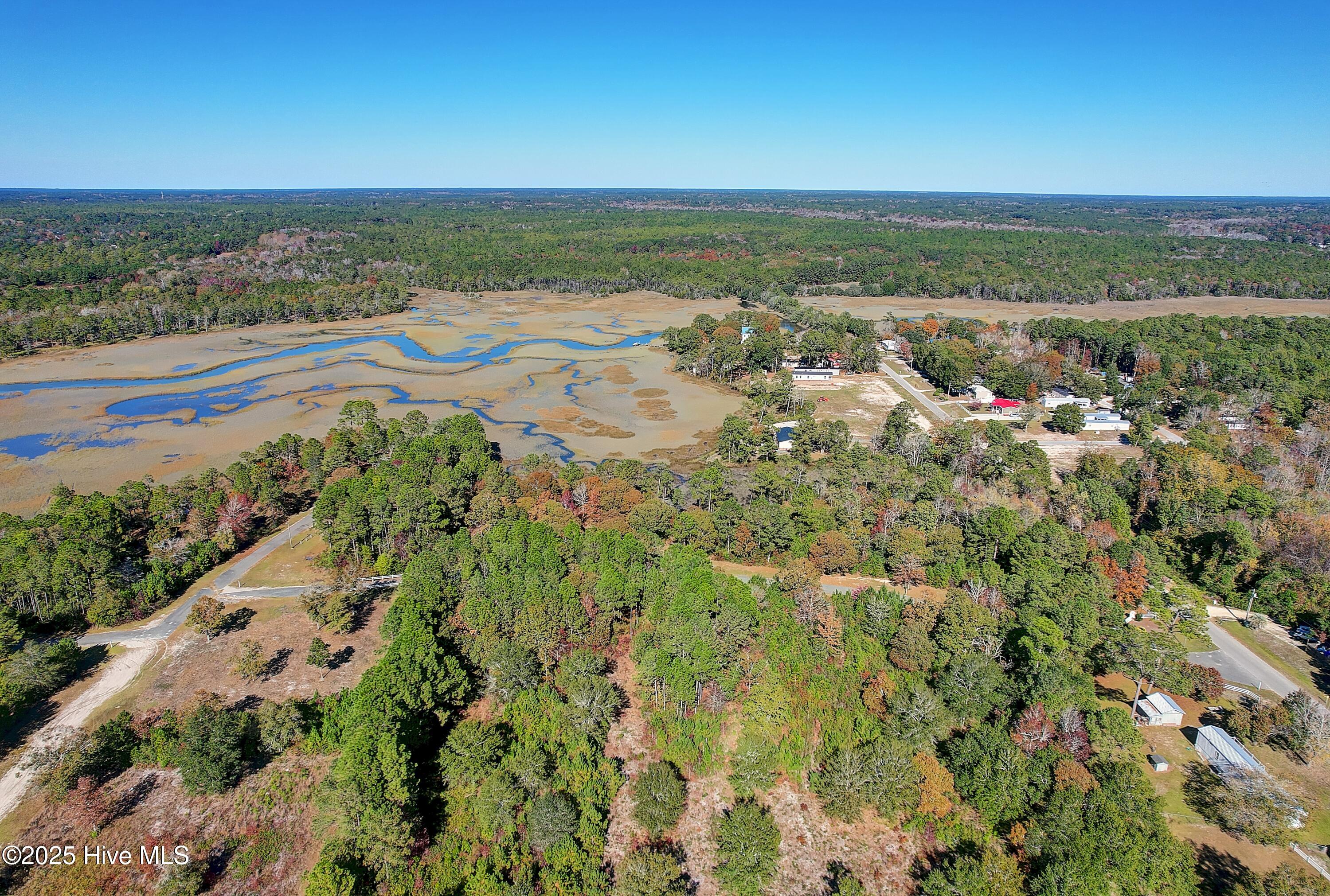 2021 Sea Lavender Road Southwest Supply, NC 28462 - Photo 8 of 19 Gated, Private Community