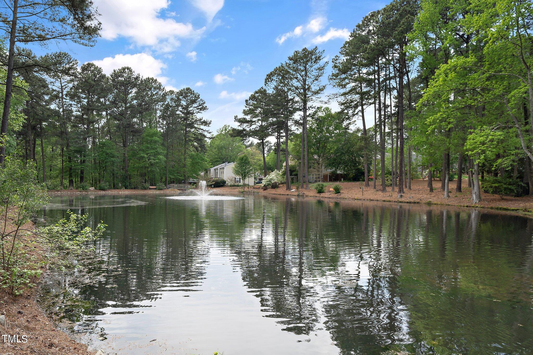 105 Rockspray Court Cary, NC 27513 - Photo 19 of 19 23-web-or-mls-105 Rockspray Court (23 o