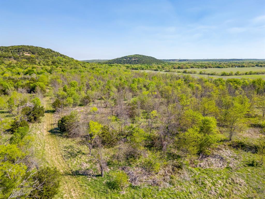Tbd Teague Road Jacksboro, TX 76458 - Photo 21 of 33