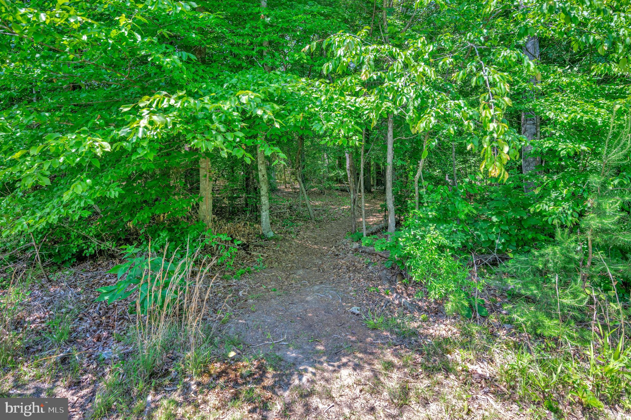 668 Signboard Road Bumpass, VA 23024 - Photo 41 of 46 Gallery Image 41