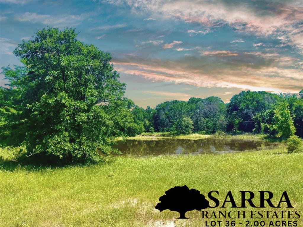 Lot 36 Kilkenny Road Poolville, TX 76487 - Photo 6 of 16