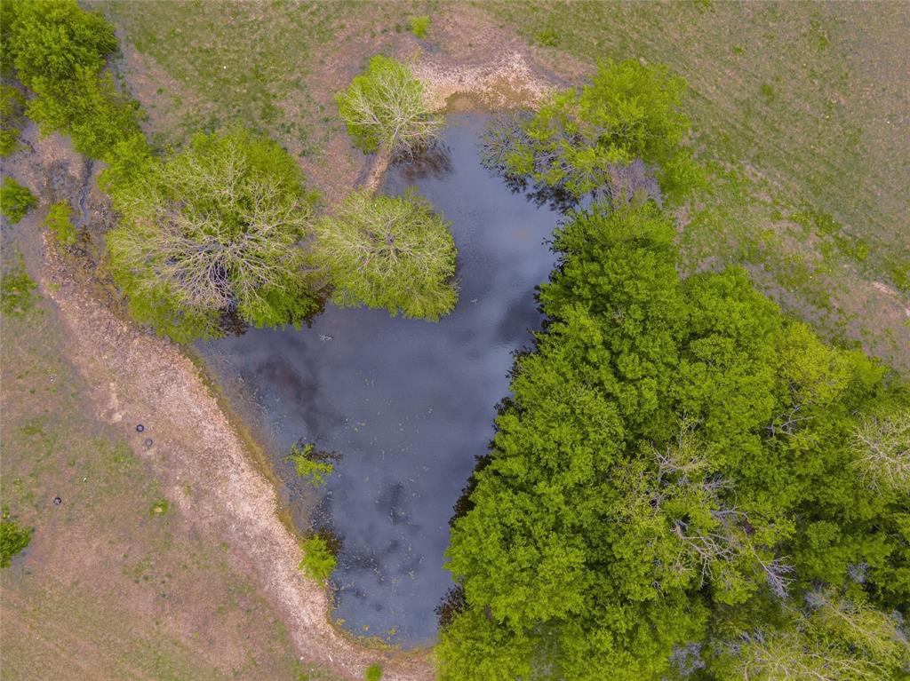 6156 Sky Road Crowley, TX 76036 - Photo 3 of 23 a view of a garden with plants