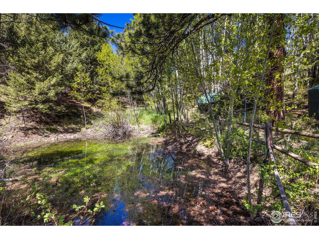 5690 Sugarloaf Road Boulder, CO 80302 - Photo 24 of 27 a view of a bunch of trees and bushes