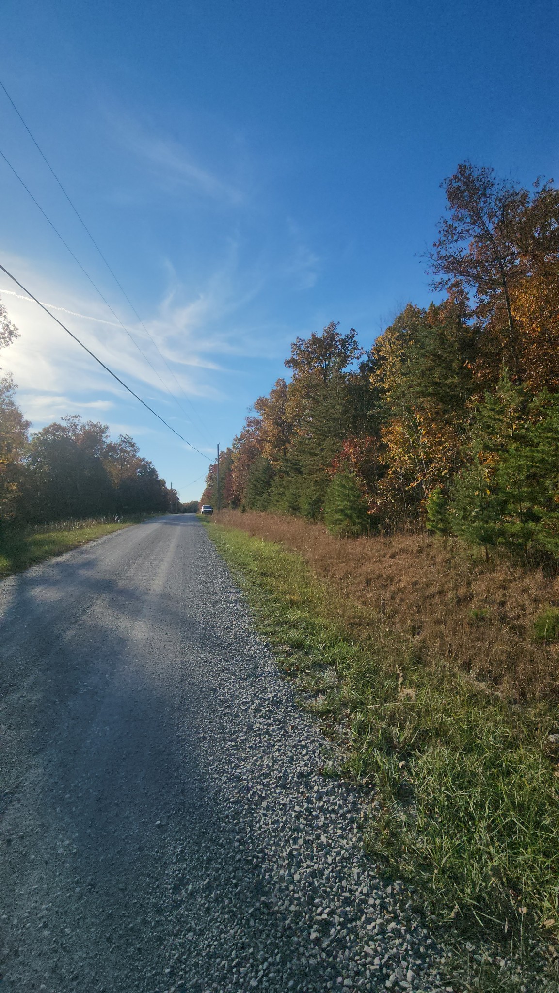 75 Hunters Trail Way Altamont, TN 37301 - Photo 18 of 51 a view of a field with trees in background