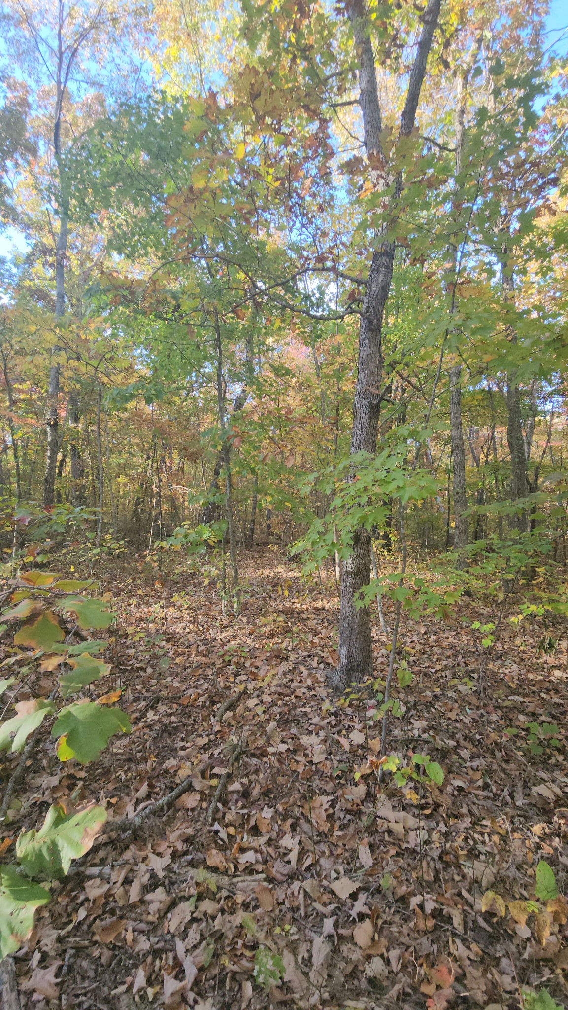 75 Hunters Trail Way Altamont, TN 37301 - Photo 20 of 51 a view of a lake view