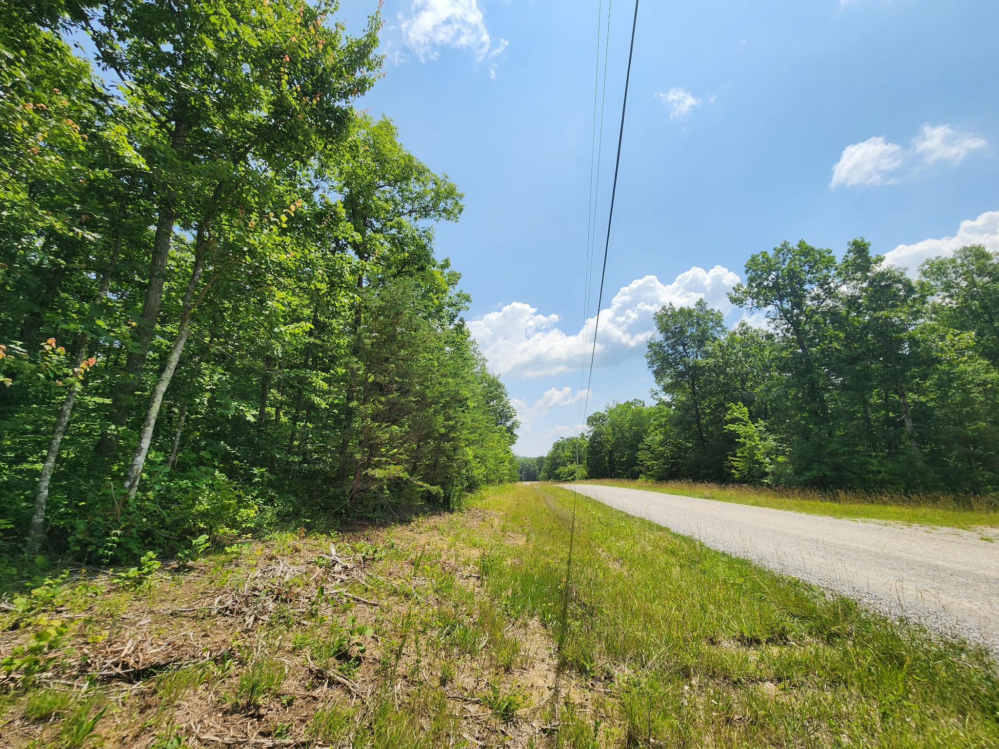 75 Hunters Trail Way Altamont, TN 37301 - Photo 51 of 51 a view of a garden